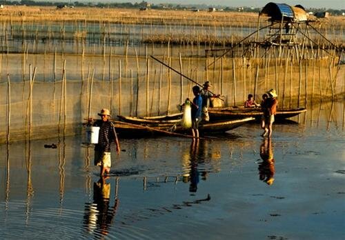Sổ tay du lịch so tay du lich Sotaydulich Sotay Dulich Khampha Kham Pha Bui Ve dam Chuon