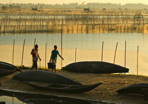 Sổ tay du lịch so tay du lich Sotaydulich Sotay Dulich Khampha Kham Pha Bui Ve dam Chuon
