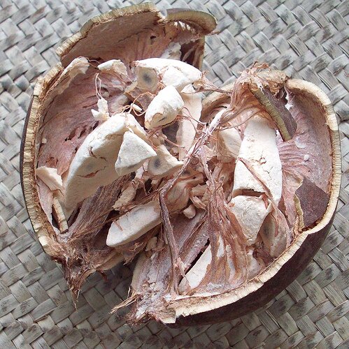 Sổ tay du lịch so tay du lich Sotaydulich Sotay Dulich Khampha Kham Pha Bui cay bao bap bieu tuong cua vung dat kho can chau Phi