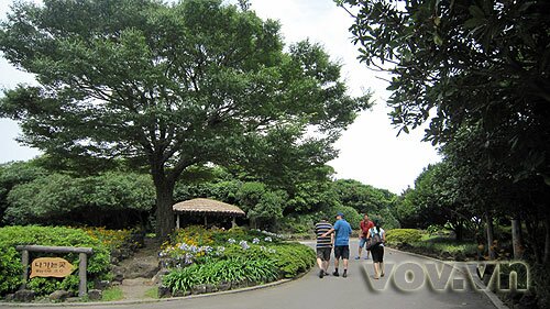Sổ tay du lịch so tay du lich Sotaydulich Sotay Dulich Khampha Kham Pha Bui Tham lang dan toc Seongup o Jeju