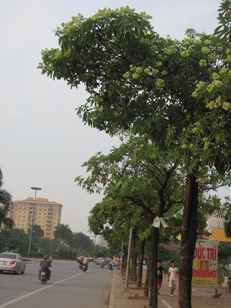 Sổ tay du lịch so tay du lich Sotaydulich Sotay Dulich Khampha Kham Pha Bui Nong nan hoa sua mua thu
