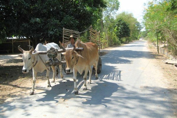 Sổ tay du lịch so tay du lich Sotaydulich Sotay Dulich Khampha Kham Pha Bui Khu di tich Thien Lanh O Ta Soc