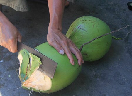 Sổ tay du lịch so tay du lich Sotaydulich Sotay Dulich Khampha Kham Pha Bui Mot ngay phuot bien thu vi cung ngu dan