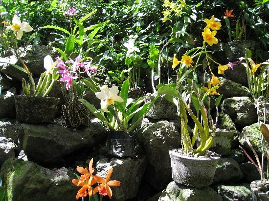 Sổ tay du lịch so tay du lich Sotaydulich Sotay Dulich Khampha Kham Pha Bui Thien duong o quan dao Fiji