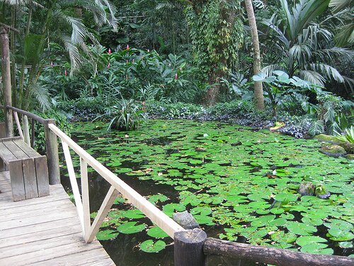 Sổ tay du lịch so tay du lich Sotaydulich Sotay Dulich Khampha Kham Pha Bui Thien duong o quan dao Fiji
