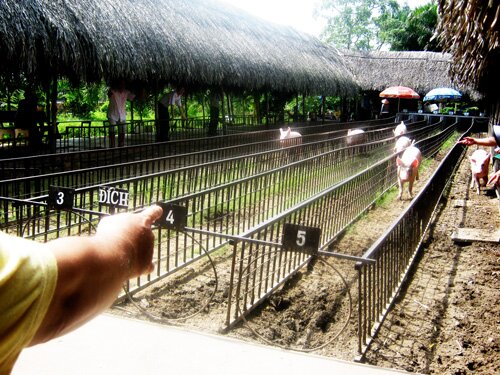 Sổ tay du lịch so tay du lich Sotaydulich Sotay Dulich Khampha Kham Pha Bui Du ngoan cuoi tuan o Can Tho