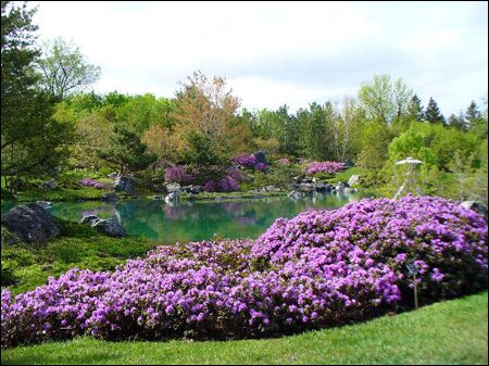Sổ tay du lịch so tay du lich Sotaydulich Sotay Dulich Khampha Kham Pha Bui Vuonn bach thao Montreal