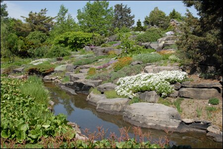 Sổ tay du lịch so tay du lich Sotaydulich Sotay Dulich Khampha Kham Pha Bui Vuonn bach thao Montreal