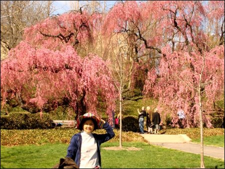 Sổ tay du lịch so tay du lich Sotaydulich Sotay Dulich Khampha Kham Pha Bui Vuonn bach thao Montreal