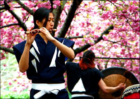 Sổ tay du lịch so tay du lich Sotaydulich Sotay Dulich Khampha Kham Pha Bui Vuonn bach thao Montreal