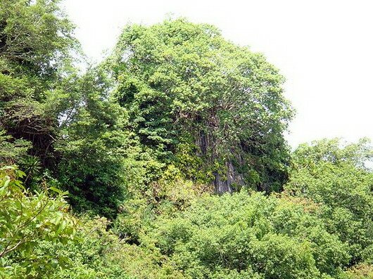 Sổ tay du lịch so tay du lich Sotaydulich Sotay Dulich Khampha Kham Pha Bui Kham pha Dong Phong Nha cua mien Tay