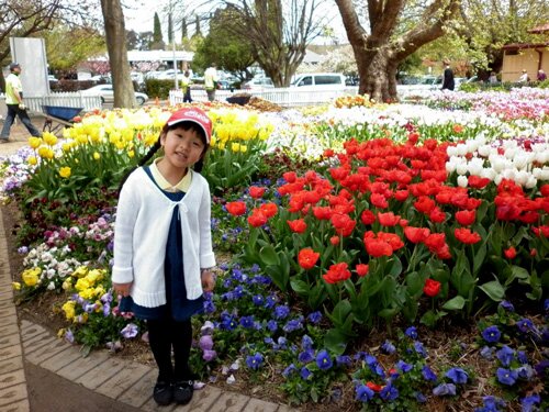Sổ tay du lịch so tay du lich Sotaydulich Sotay Dulich Khampha Kham Pha Bui Ngao du le hoi hoa lon nhat o Australia