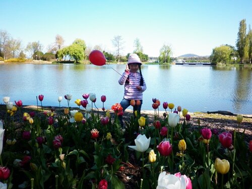 Sổ tay du lịch so tay du lich Sotaydulich Sotay Dulich Khampha Kham Pha Bui Ngao du le hoi hoa lon nhat o Australia