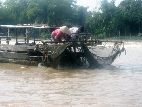 Sổ tay du lịch so tay du lich Sotaydulich Sotay Dulich Khampha Kham Pha Bui Som mai tren cho noi Cai Rang