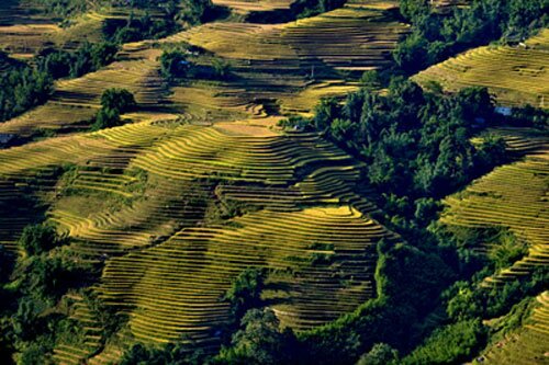 Sổ tay du lịch so tay du lich Sotaydulich Sotay Dulich Khampha Kham Pha Bui Chiem nguong ruong bac thang ky vy o Sa Pa