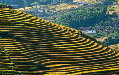 Sổ tay du lịch so tay du lich Sotaydulich Sotay Dulich Khampha Kham Pha Bui Chiem nguong ruong bac thang ky vy o Sa Pa