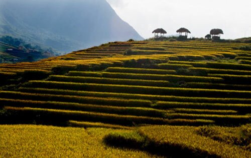 Sổ tay du lịch so tay du lich Sotaydulich Sotay Dulich Khampha Kham Pha Bui Chiem nguong ruong bac thang ky vy o Sa Pa