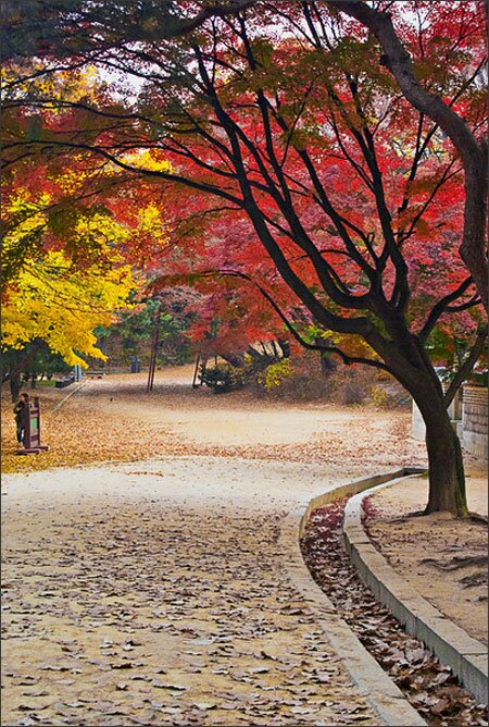 Sổ tay du lịch so tay du lich Sotaydulich Sotay Dulich Khampha Kham Pha Bui Cung dien Changdeok di san van hoa the gioi 