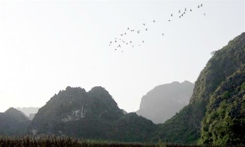 Sổ tay du lịch so tay du lich Sotaydulich Sotay Dulich Khampha Kham Pha Bui Ve dam Van Long mua co lam to
