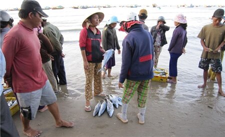 Sổ tay du lịch so tay du lich Sotaydulich Sotay Dulich Khampha Kham Pha Bui Cho ca Ke ga