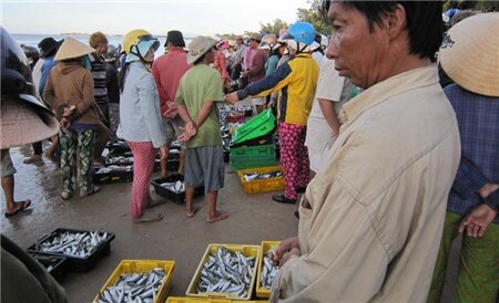 Sổ tay du lịch so tay du lich Sotaydulich Sotay Dulich Khampha Kham Pha Bui Cho ca Ke ga