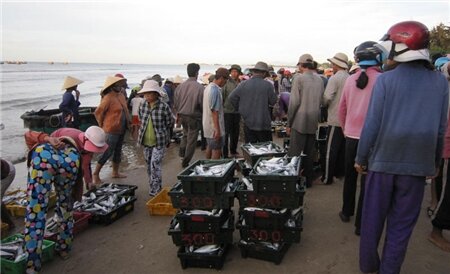 Sổ tay du lịch so tay du lich Sotaydulich Sotay Dulich Khampha Kham Pha Bui Cho ca Ke ga