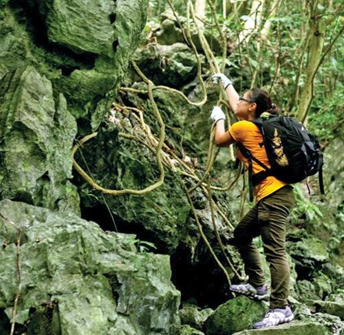 Sổ tay du lịch so tay du lich Sotaydulich Sotay Dulich Khampha Kham Pha Bui Xuyen rung Cat Ba