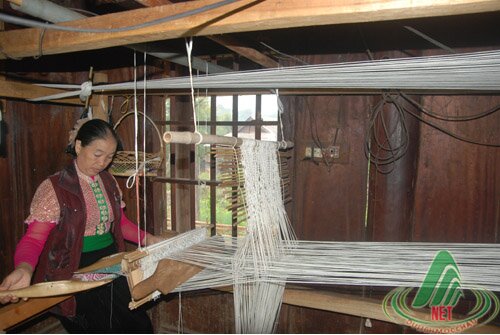 Sổ tay du lịch so tay du lich Sotaydulich Sotay Dulich Khampha Kham Pha Bui Tho mong ban Ang ho rung thong Dong Sang