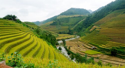 Sổ tay du lịch so tay du lich Sotaydulich Sotay Dulich Khampha Kham Pha Bui Mu Cang Chai tuyet dep mua lua chin