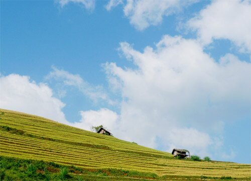 Sổ tay du lịch so tay du lich Sotaydulich Sotay Dulich Khampha Kham Pha Bui Mu Cang Chai tuyet dep mua lua chin