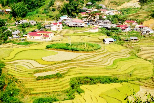 Sổ tay du lịch so tay du lich Sotaydulich Sotay Dulich Khampha Kham Pha Bui Mu Cang Chai tuyet dep mua lua chin