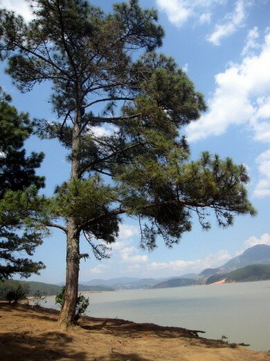 Sổ tay du lịch so tay du lich Sotaydulich Sotay Dulich Khampha Kham Pha Bui Net duyen cac ho o Da Lat