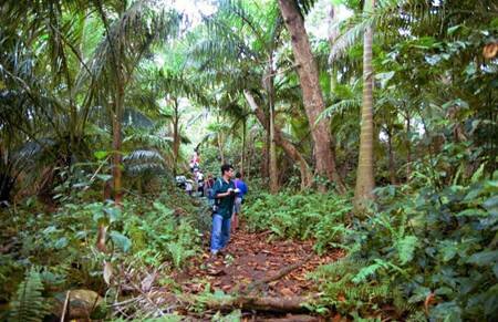 Sổ tay du lịch so tay du lich Sotaydulich Sotay Dulich Khampha Kham Pha Bui Thien nhien ky thu o Costa Rica