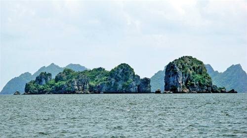 Sổ tay du lịch so tay du lich Sotaydulich Sotay Dulich Khampha Kham Pha Bui Tiec ca tren bien Tay
