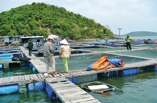 Sổ tay du lịch so tay du lich Sotaydulich Sotay Dulich Khampha Kham Pha Bui Tiec ca tren bien Tay