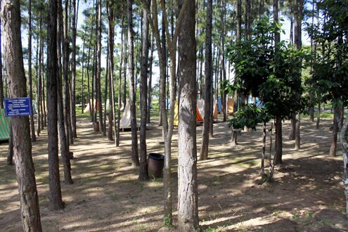 Sổ tay du lịch so tay du lich Sotaydulich Sotay Dulich Khampha Kham Pha Bui Ky luc Tuong Phat di lac tren nui lon nhat o Vung Tau