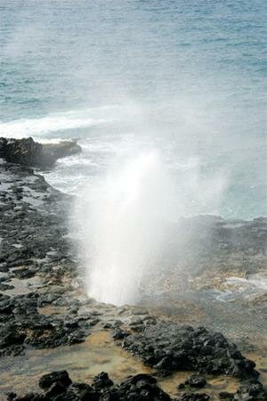 Sổ tay du lịch so tay du lich Sotaydulich Sotay Dulich Khampha Kham Pha Bui Hawaii chon thien duong