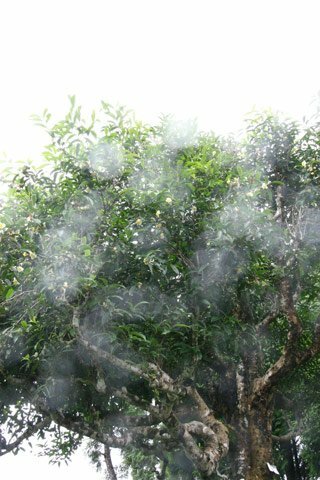 Sổ tay du lịch so tay du lich Sotaydulich Sotay Dulich Khampha Kham Pha Bui Len vung cao kham pha xu che co thu