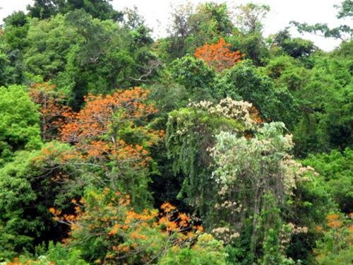 Sổ tay du lịch so tay du lich Sotaydulich Sotay Dulich Khampha Kham Pha Bui Ky quan da nui Cu Lao Cham