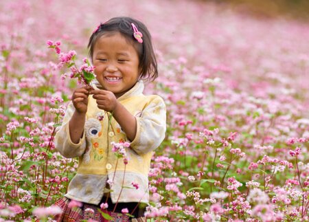 Sổ tay du lịch so tay du lich Sotaydulich Sotay Dulich Khampha Kham Pha Bui Xin Man mua hoa tam giac mach