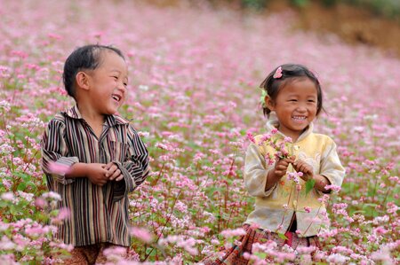 Sổ tay du lịch so tay du lich Sotaydulich Sotay Dulich Khampha Kham Pha Bui Xin Man mua hoa tam giac mach