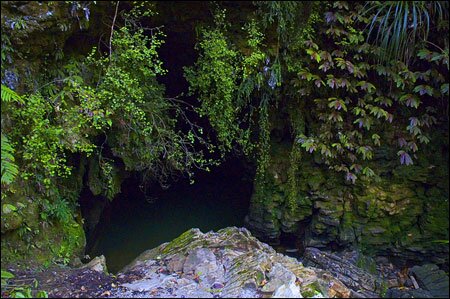 Sổ tay du lịch so tay du lich Sotaydulich Sotay Dulich Khampha Kham Pha Bui Ngam dom dom Waitomo tai dong Waitomo New Zealand
