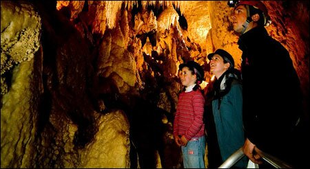 Sổ tay du lịch so tay du lich Sotaydulich Sotay Dulich Khampha Kham Pha Bui Ngam dom dom Waitomo tai dong Waitomo New Zealand