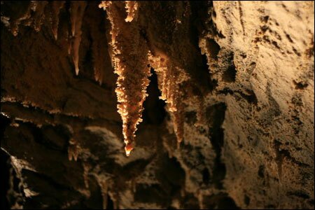 Sổ tay du lịch so tay du lich Sotaydulich Sotay Dulich Khampha Kham Pha Bui Ngam dom dom Waitomo tai dong Waitomo New Zealand