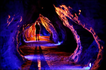 Sổ tay du lịch so tay du lich Sotaydulich Sotay Dulich Khampha Kham Pha Bui Ngam dom dom Waitomo tai dong Waitomo New Zealand