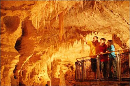 Sổ tay du lịch so tay du lich Sotaydulich Sotay Dulich Khampha Kham Pha Bui Ngam dom dom Waitomo tai dong Waitomo New Zealand