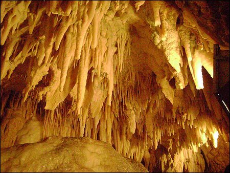Sổ tay du lịch so tay du lich Sotaydulich Sotay Dulich Khampha Kham Pha Bui Ngam dom dom Waitomo tai dong Waitomo New Zealand