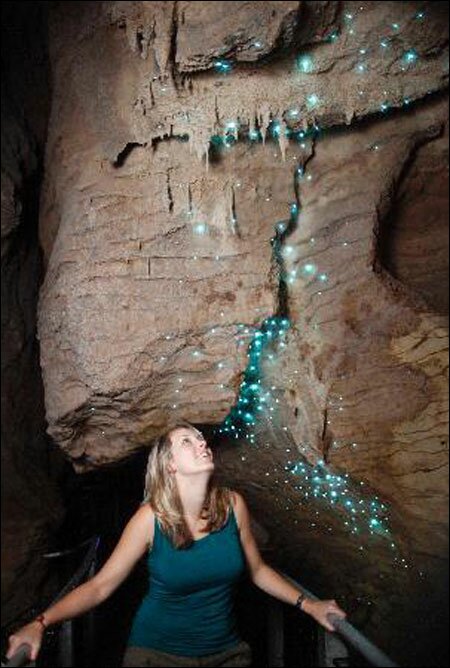 Sổ tay du lịch so tay du lich Sotaydulich Sotay Dulich Khampha Kham Pha Bui Ngam dom dom Waitomo tai dong Waitomo New Zealand