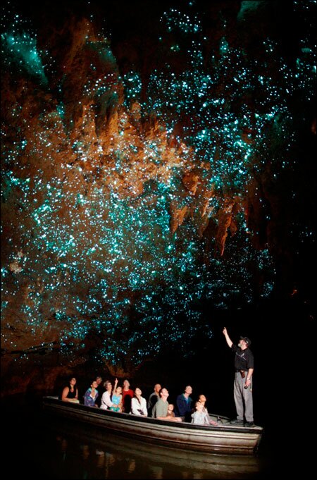 Sổ tay du lịch so tay du lich Sotaydulich Sotay Dulich Khampha Kham Pha Bui Ngam dom dom Waitomo tai dong Waitomo New Zealand