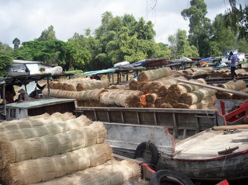 Sổ tay du lịch so tay du lich Sotaydulich Sotay Dulich Khampha Kham Pha Bui Ve tham lang chieu Dinh Yen